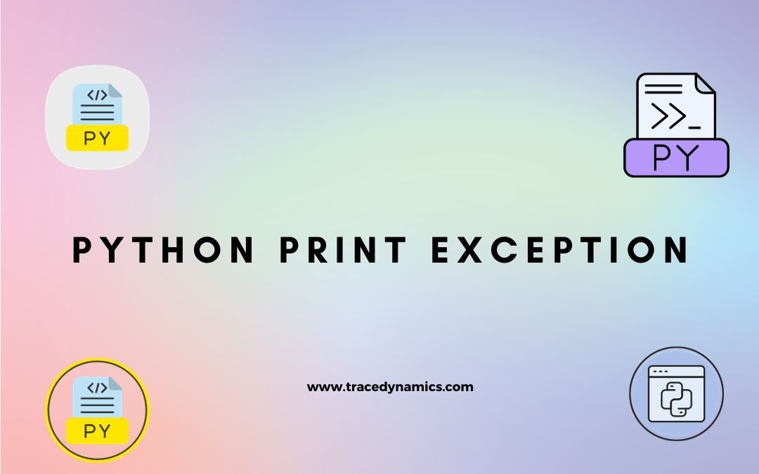Python Print Exception