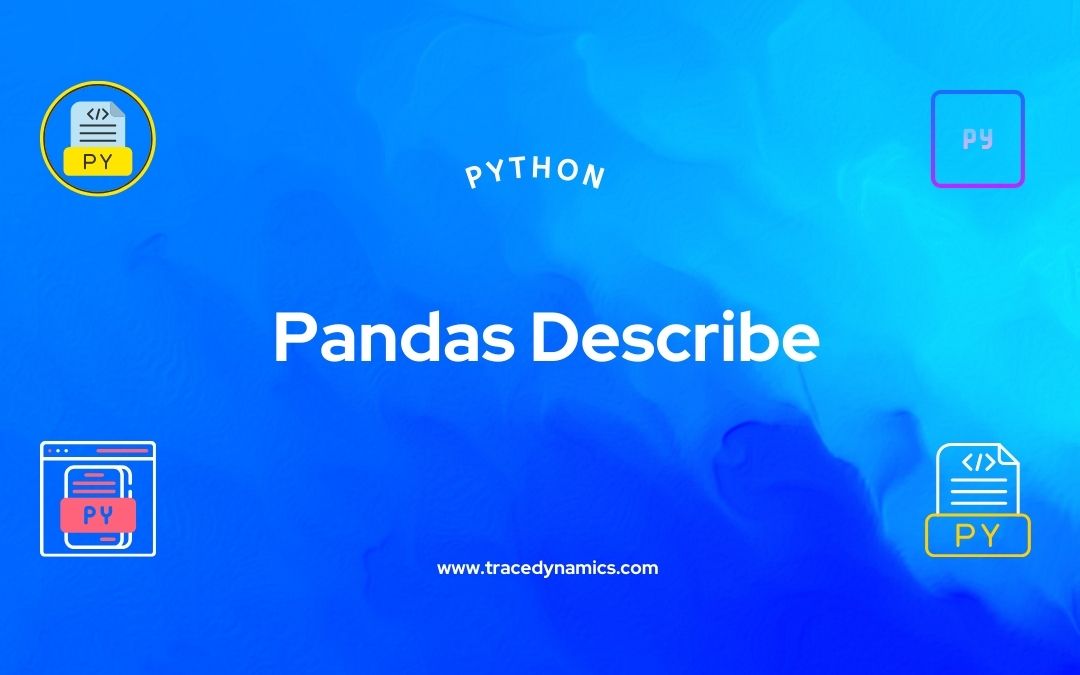 Pandas Describe in Python